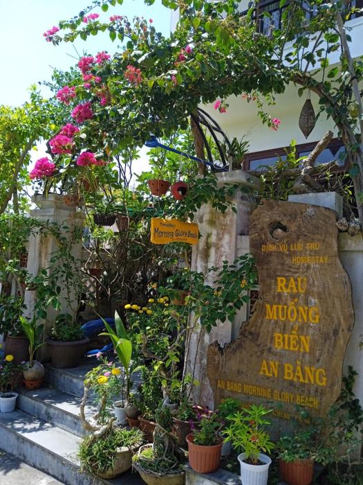 an bang morning glory beach homestay