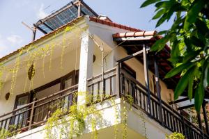 an bang morning glory beach homestay