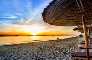 an bang morning glory beach homestay