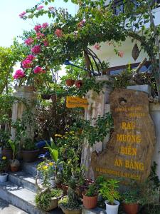 an bang morning glory beach homestay