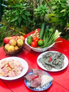 an bang morning glory beach homestay