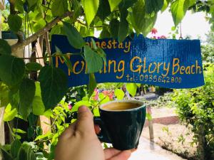 an bang morning glory beach homestay