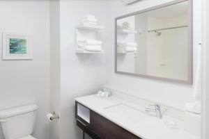 hampton inn dunedin