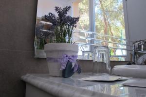 escala suites