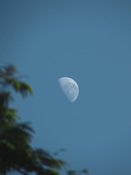 selvaje lodge iguazu