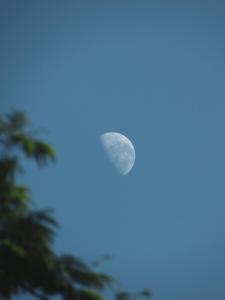 selvaje lodge iguazu