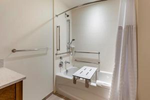 comfort inn and suites pittsburgh northshore