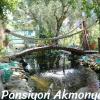 akmonya pansiyon