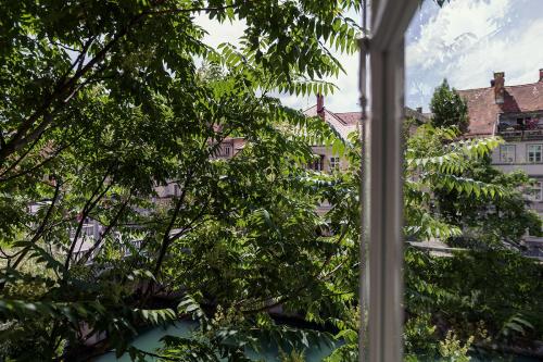 kollmann rooms and apartments