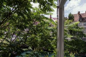 kollmann rooms and apartments