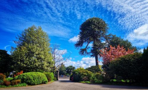 the pines guesthouse