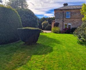 the pines guesthouse
