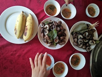 tran xuan homestay