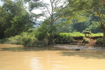 tran xuan homestay