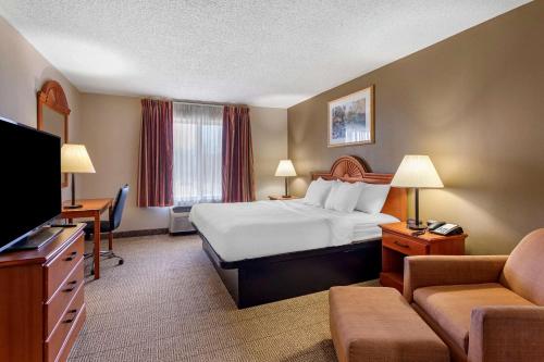 quality inn and suites