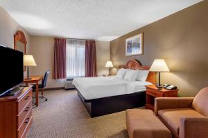 quality inn and suites