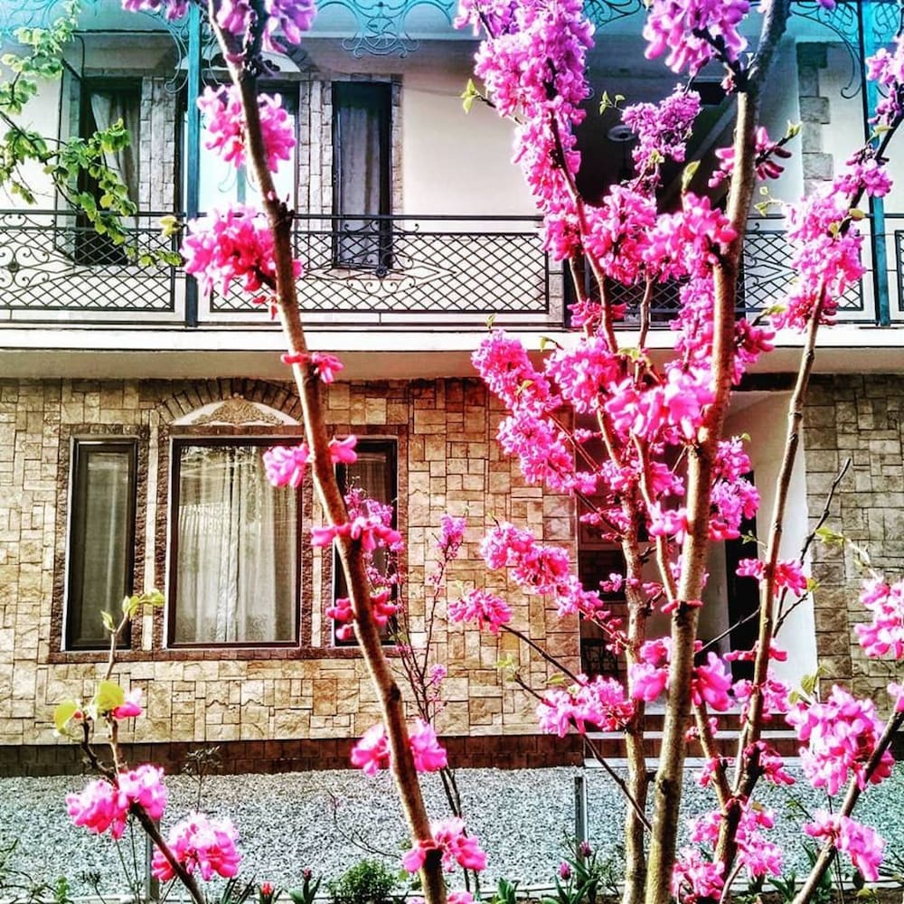 batumi