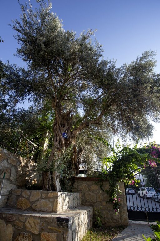 pharos boutique hotel