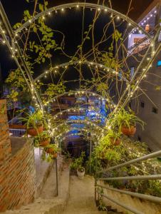 cat ba xanh green cat ba hotel