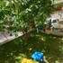 limon pansiyon