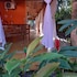 ilhabela