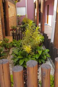 caraguatatuba