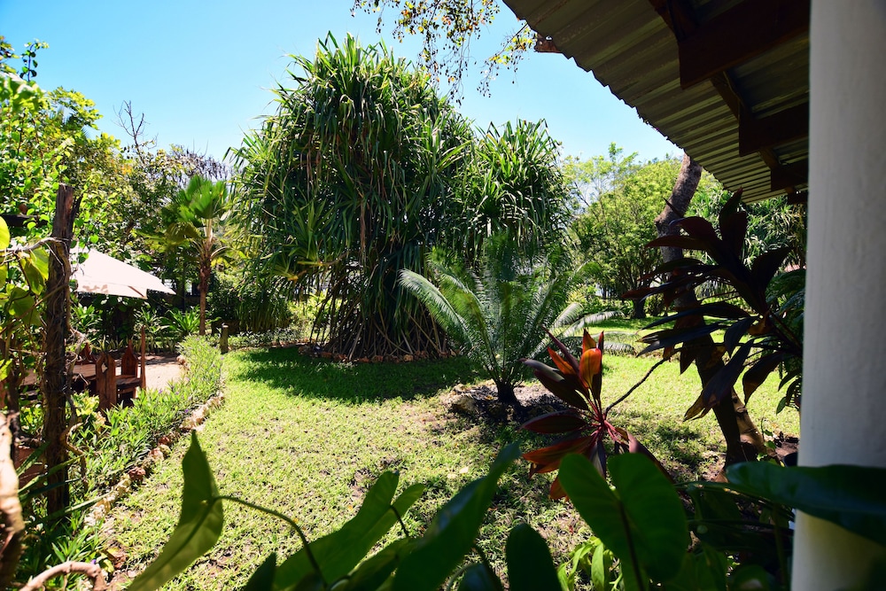 mediterraneo hotel and restaurant