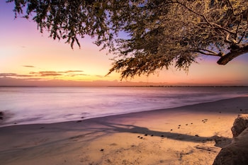 mediterraneo hotel and restaurant