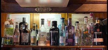 the dog and doublet inn