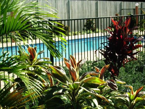 seminara apartments coochiemudlo island