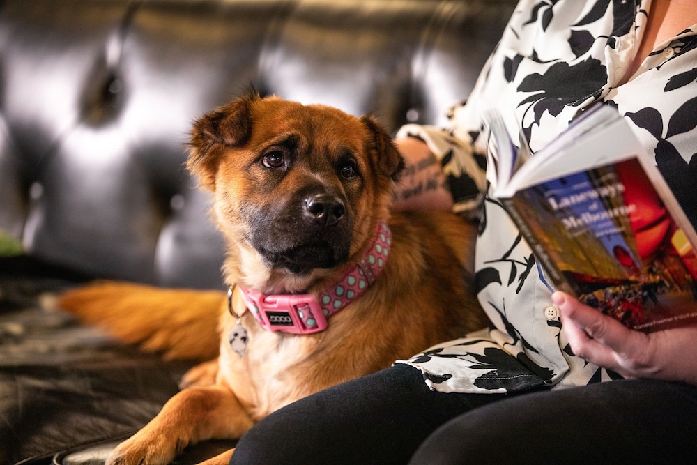 ink hotel melbourne southbank