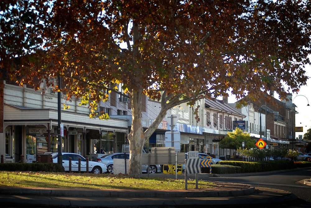quirindi sunflower motor inn