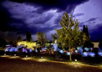 quirindi sunflower motor inn