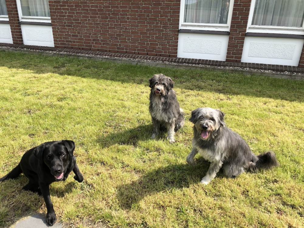 hotel am schlosspark herten