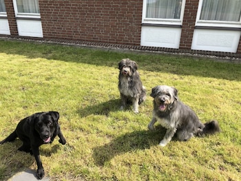 hotel am schlosspark herten