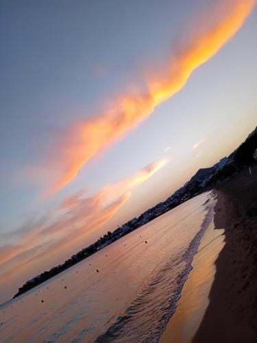 sitia