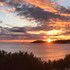 elimia suites and studios