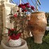 elimia suites and studios