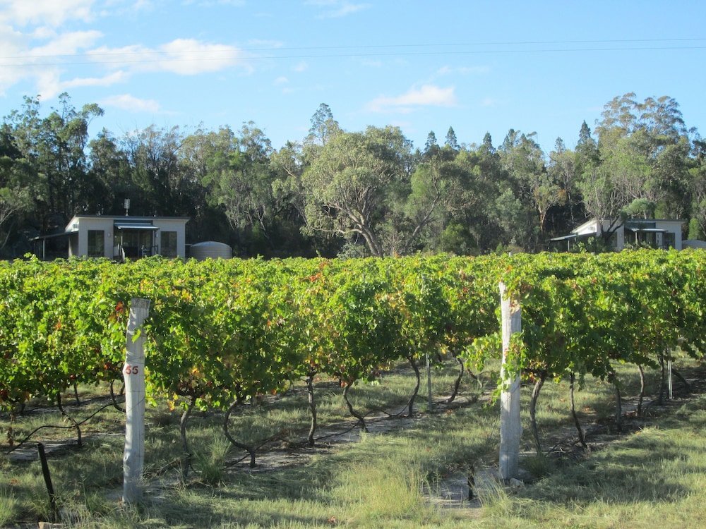 just red wines vineyard cabins