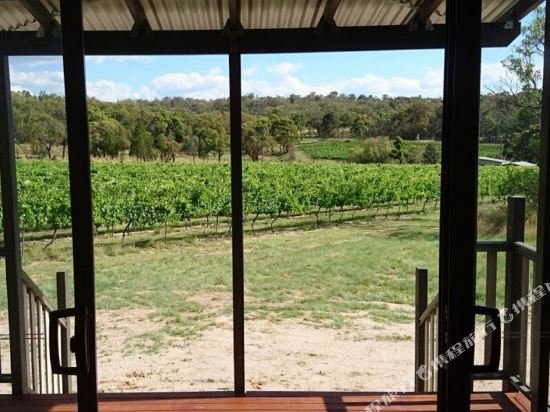 just red wines vineyard cabins