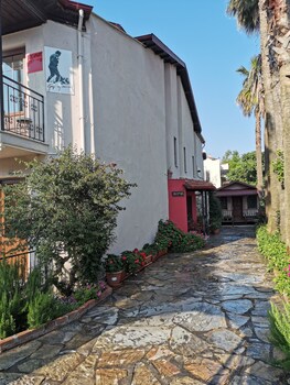 dalyan