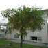 alba guesthouse