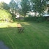 alba guesthouse
