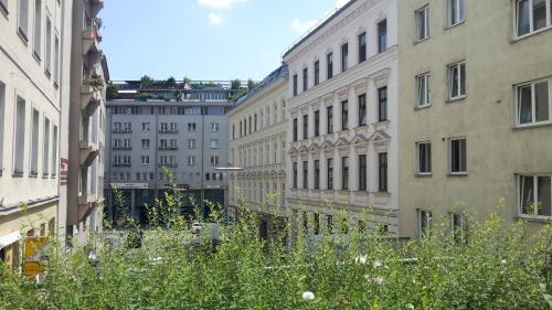 vienna