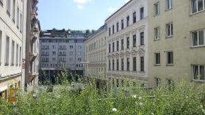 vienna