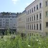 vienna