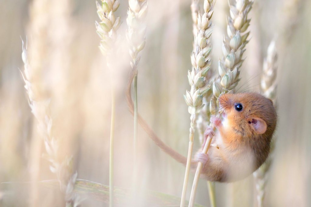 the byng street boutique hotel