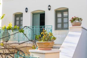 villa matakia