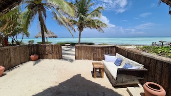 the zanzibari