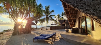 the zanzibari